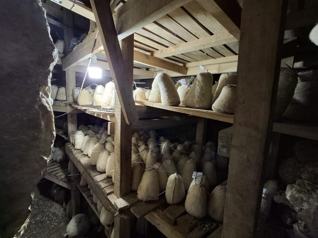 Etkinlik Görseli